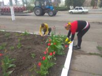 зображення Viber 2021 05 06 16 05 34