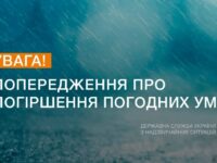 50ab2ca48275e539d099f02bf4239c24