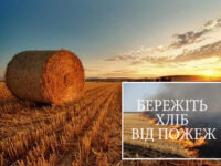 C2775cc87ac19d8185d8d1f8785686c8