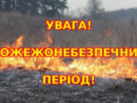 5978819f92631