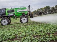 Big Superagronom Ozymyi Ripak Obpryskuvannia 8852