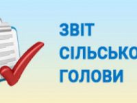 63e203625e939 звіт голови