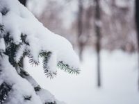погода 2
