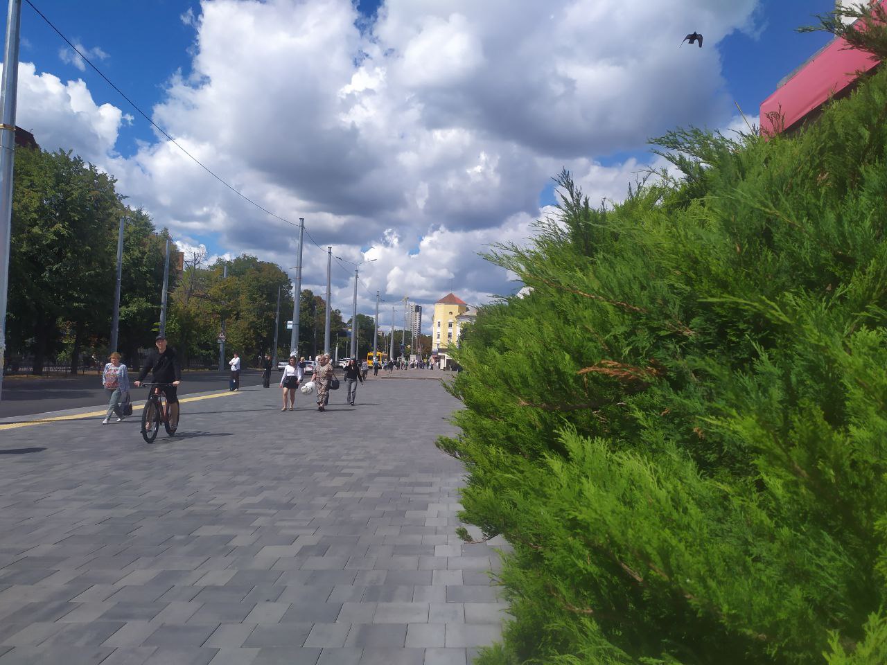 Pogoda 8