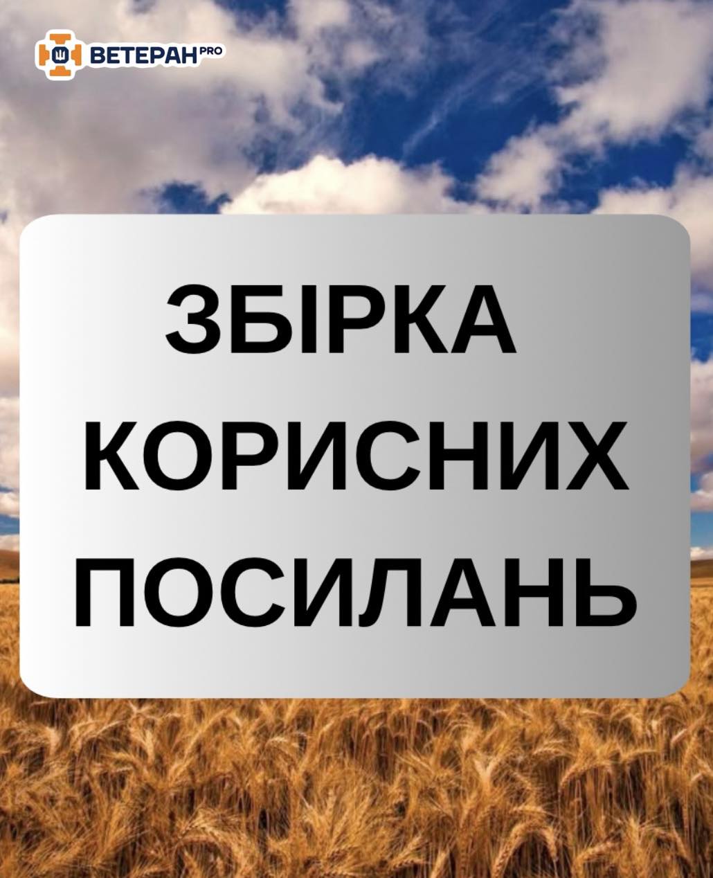 547257637 122144086952717148 3208926093320580620 N