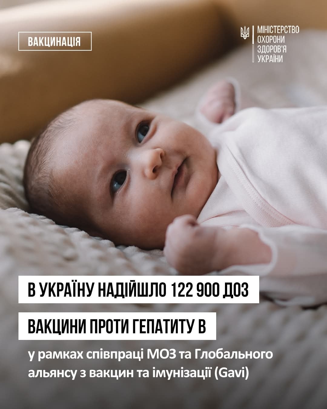 576384812 1158904196382202 8483653176463380892 N