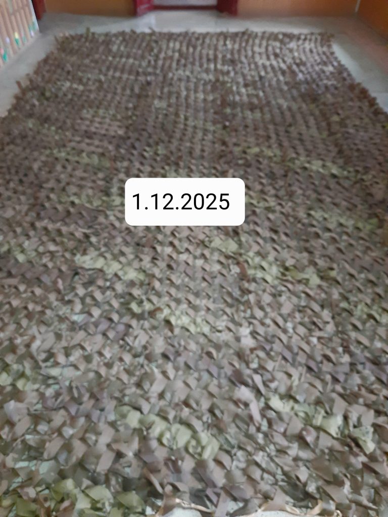 587473124 1571791960489546 6163207613976577974 N