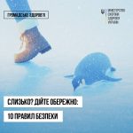 610961652 1338517181635828 765114952898348909 N