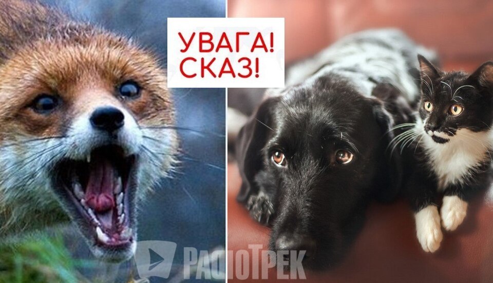 6e0d9375f166b24c4160ceb2696d78d2 W960 1